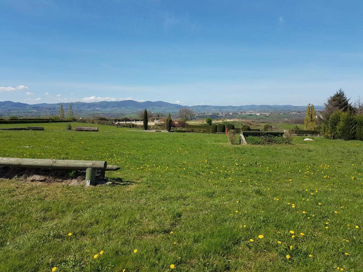 Gite De Prejeurin Echalas Exterior foto