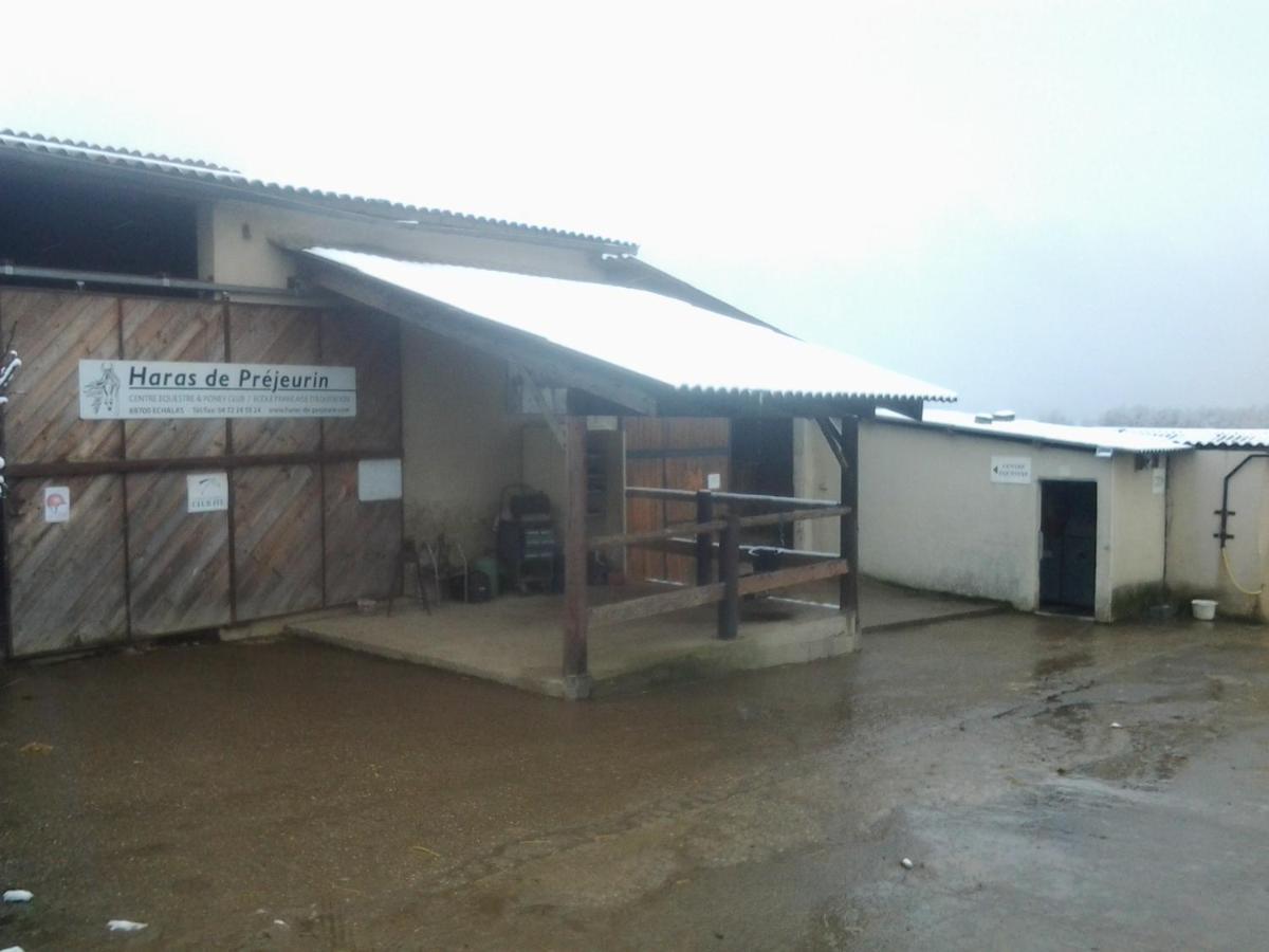 Gite De Prejeurin Echalas Exterior foto